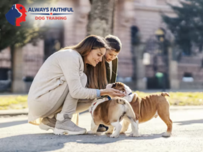 Always Faithful Dog & Puppy Training Denver CO