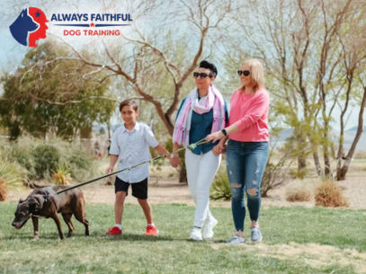 Always Faithful Dog & Puppy Training Denver CO